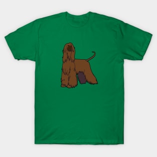 Brown Afghan Hound T-Shirt